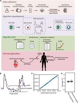 Analysis of Diurnal Variations in Heart Rate: Potential Applications for Chronobiology and Cardiovascular Medicine